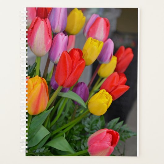 Kleurrijke veertulpen planner (Voorkant)