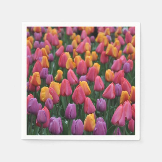 Kleurrijke veertulpen servet (Voorkant)