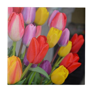 Kleurrijke veertulpen tegeltje