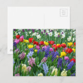 Kleurrijke veestbloementuin briefkaart (Voorkant / Achterkant)