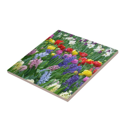 Kleurrijke veestbloementuin tegeltje (Zijkant)