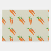Kleurrijke Veggie Wrapping Paper Pack (Voorkant)