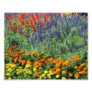 Kleurrijke ventilatortuin 10x8 Floral print Foto Afdruk
