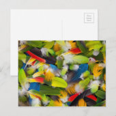 Kleurrijke veren stapel briefkaart (Voorkant / Achterkant)