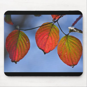 Kleurrijke Verlichte Herfstbladeren Trio Muismat