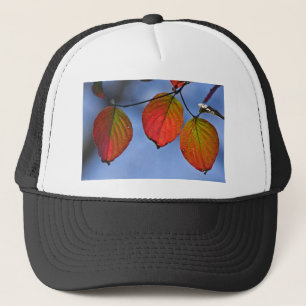 Kleurrijke Verlichte Herfstbladeren Trio Trucker Pet