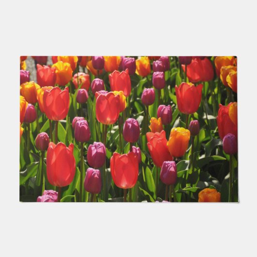 Kleurrijke veultulp schoonheid deurmat (Voorkant)