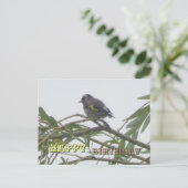 Kleurrijke Vink Gelukkige Verjaardag Ansichtkaart Briefkaart (Staand voorkant)