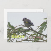 Kleurrijke Vink Verjaardag Postkaart (Voorkant / Achterkant)
