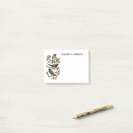 Kleurrijke vinkvogels illustreren Post-it Notes (Op bureau)