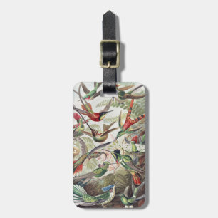 Kleurrijke Vintage Ernst Haeckel Hummingbird Poste Bagagelabel