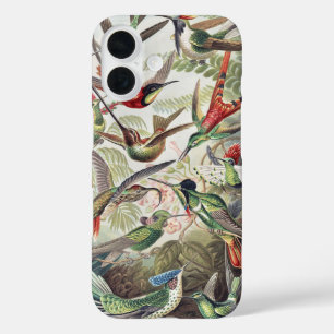 Kleurrijke Vintage Ernst Haeckel Hummingbird Poste iPhone 16 Hoesje