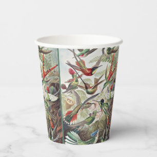 Kleurrijke Vintage Ernst Haeckel Hummingbird Poste Papieren Bekers
