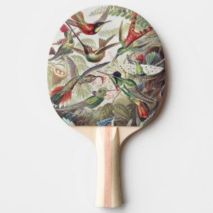 Kleurrijke Vintage Ernst Haeckel Kolibrie Poster Tafeltennisbatje