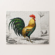 Kleurrijke Vintage Haan Illustratie Kunst