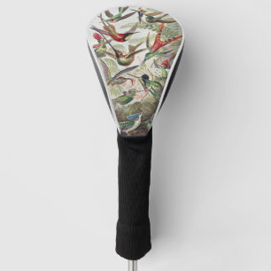 Kleurrijke Vintage Hummingbird Poster van Ernst Ha Golfheadcover