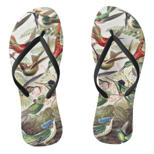 Kleurrijke Vintage Hummingbird Poster van Ernst Ha Teenslippers