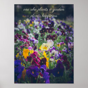 Kleurrijke viooltjes in bloei in de landtuin poster