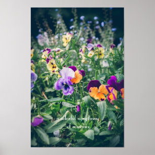 Kleurrijke viooltjes in een zomerse landtuin poster