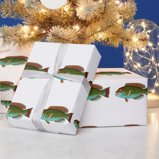 Kleurrijke vis cadeaupapier (Feestdagen)