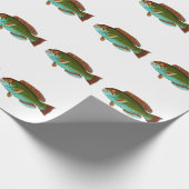 Kleurrijke  vis cadeaupapier (Hoek)