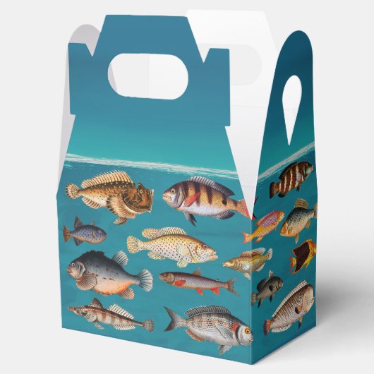 Kleurrijke vis onder blauw zeewater bedankdoosjes (Geopend)