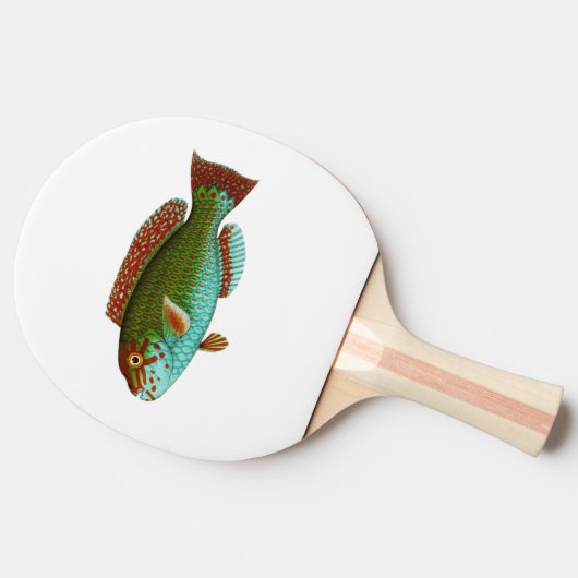 Kleurrijke  vis tafeltennisbatje (Zijkant)