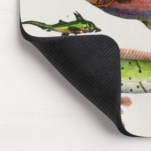 Kleurrijke  visschenkingen Kinderen Muismat (Hoek)