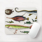 Kleurrijke  visschenkingen Kinderen Muismat (Met muis)