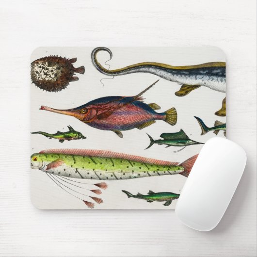 Kleurrijke  visschenkingen Kinderen Muismat (Met muis)