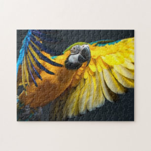 Kleurrijke vliegende ara op een donkere achtergron legpuzzel