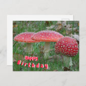 Kleurrijke Vliegenzwam Verjaardagskaart Briefkaart (Voorkant / Achterkant)