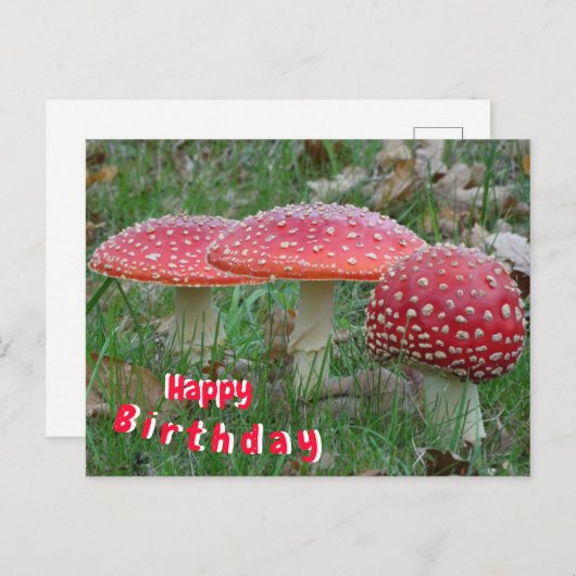 Kleurrijke Vliegenzwam Verjaardagskaart Briefkaart (Voorkant / Achterkant)