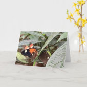 Kleurrijke Vlinder Groet Kaart (Gele Bloem)