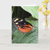 Kleurrijke Vlinder Groet Kaart (Gele Bloem)