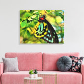 Kleurrijke vlinder op doek canvas afdruk (Insitu (Woonkamer))