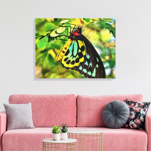 Kleurrijke vlinder op doek canvas afdruk (Insitu (Woonkamer))