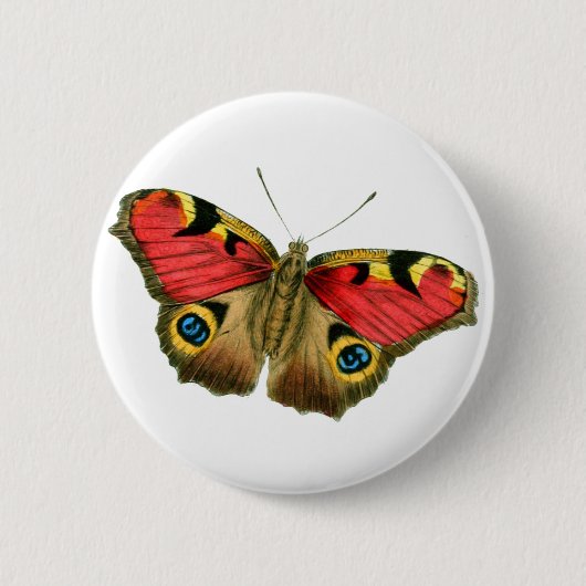 Kleurrijke vlinder ronde button 5,7 cm (Voorkant)