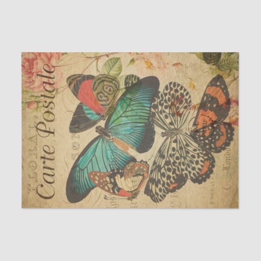 , kleurrijke vlinders en moth French Tissuepapier (Voorkant)