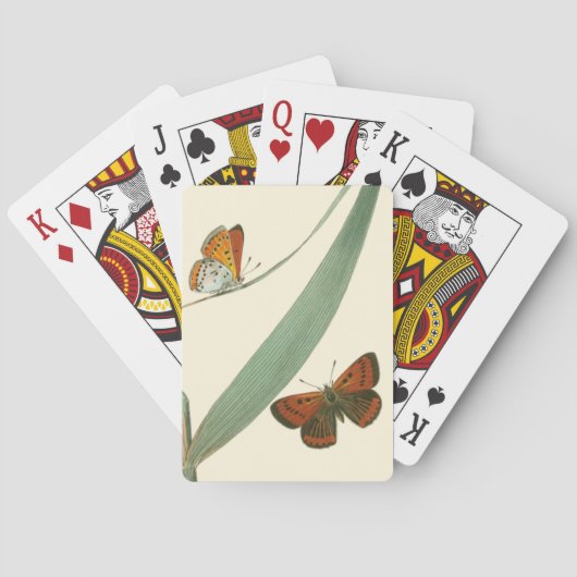 Kleurrijke Vlinders Fladderen Rond een Blad Speelkaarten (Achterkant)