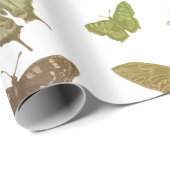 kleurrijke vlinders motten insecten cadeaupapier (Rol Hoek)