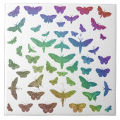  kleurrijke vlinders motten insecten tegeltje (Voorkant)
