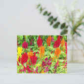 KLEURRIJKE VLOER #1 BRIEFKAART (Staand voorkant)