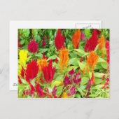 KLEURRIJKE VLOER #1 BRIEFKAART (Voorkant / Achterkant)