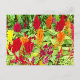 KLEURRIJKE VLOER #1 BRIEFKAART