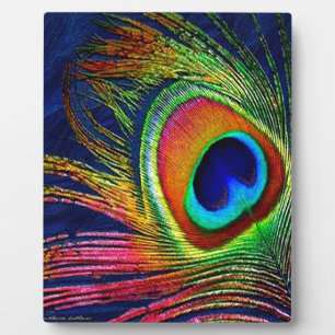 Kleurrijke voetafdruk fotoplaat