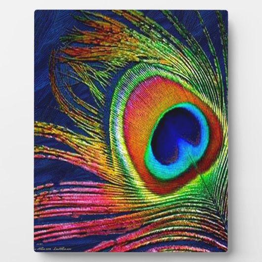 Kleurrijke voetafdruk fotoplaat (Voorkant)