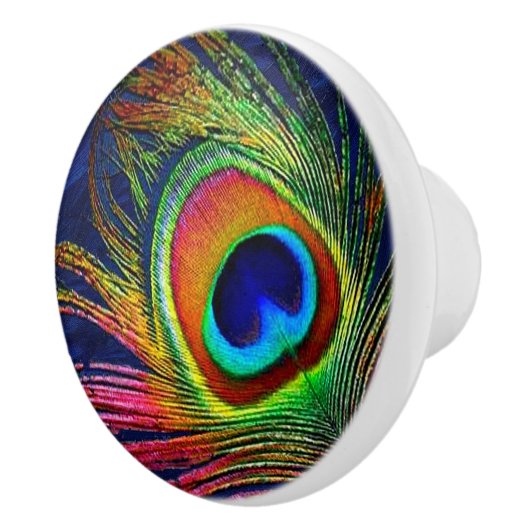 Kleurrijke voetafdruk keramische knop (Rechts)