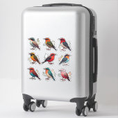 Kleurrijke Vogel Karakter Sticker Set Collectie 🐦 (Koffer)