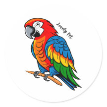 Kleurrijke Vogel Papegaai